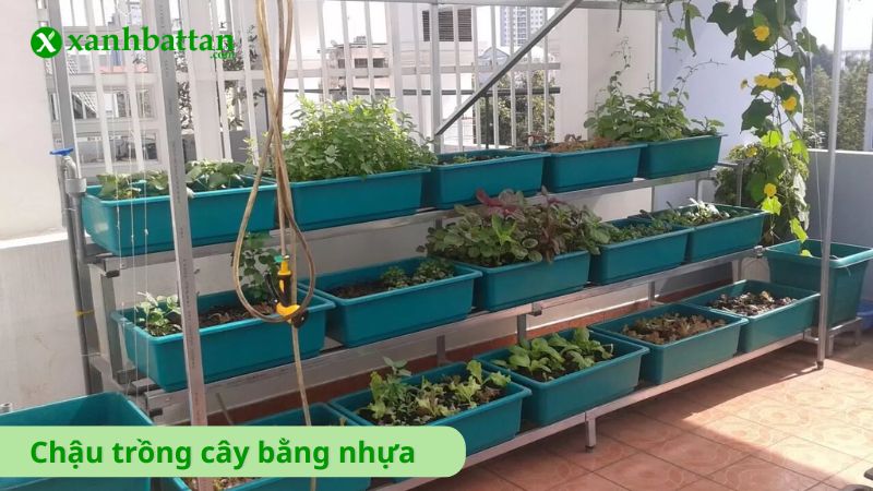 Chậu, khay trồng cây bằng nhựa