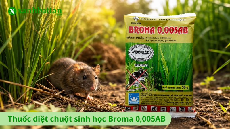 Thuốc diệt chuột sinh học chống đông máu - Broma 0,005AB