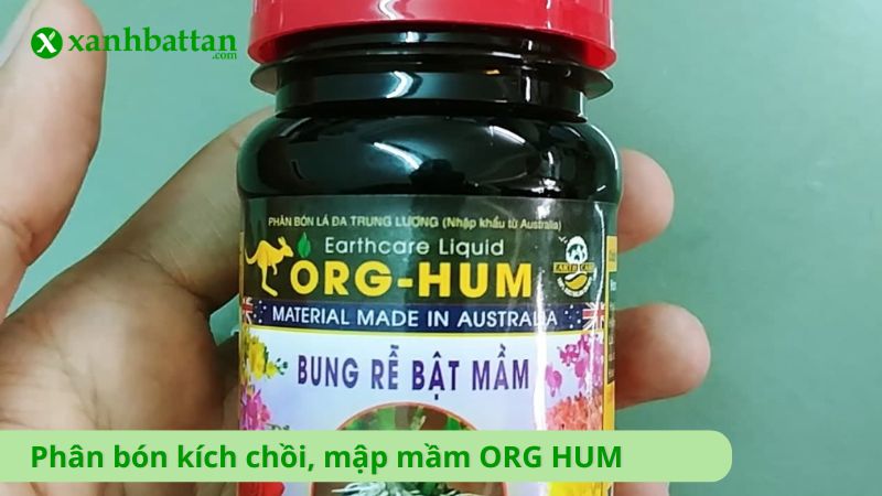 Phân bón kích chồi, mập mầm ORG HUM