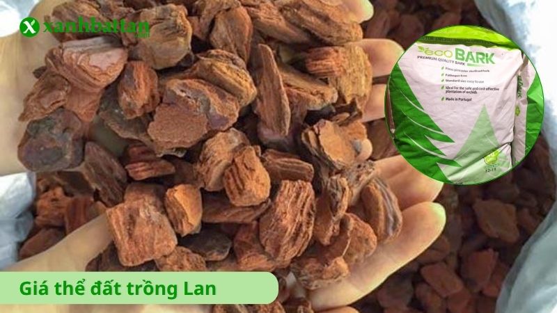 Tìm hiểu giá thể đất trồng Lan là gì?