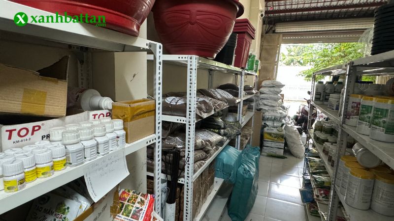 Địa chỉ mua chậu nhựa trồng hoa kiểng chất lượng tại TP.HCM?