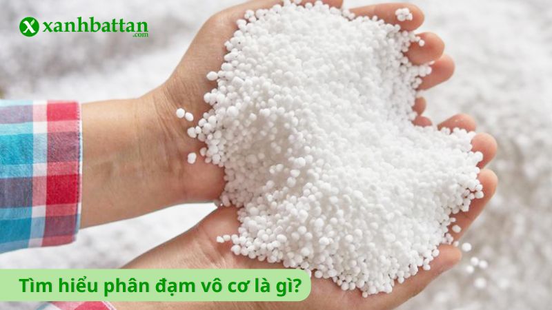 Phân đạm bón cây là gì?
