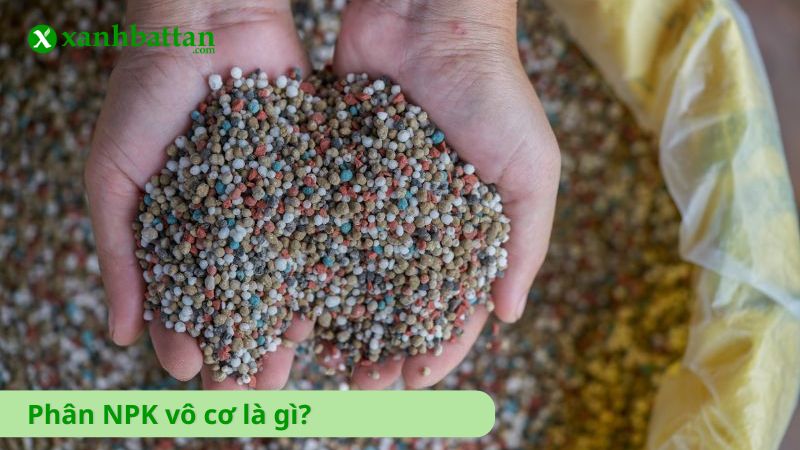 Phân NPK bón cây là gì?