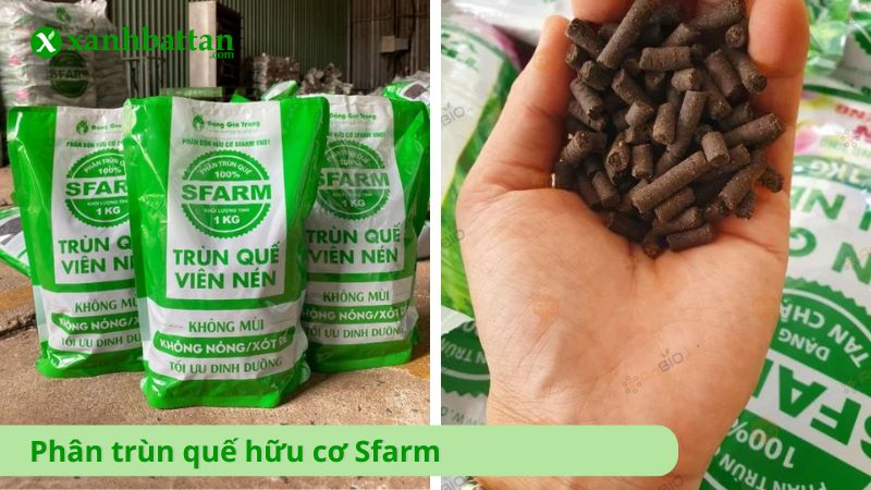 Phân trùn quế hữu cơ Sfarm