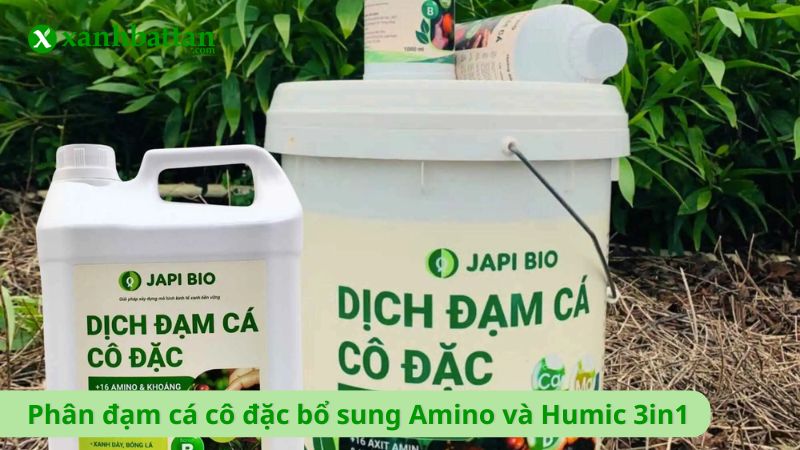 Phân đạm cá cô đặc bổ sung Amino và Humic 3in1