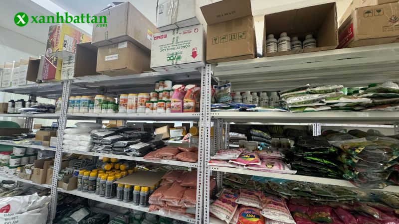 Địa chỉ mua phân bánh dầu uy tín, chất lượng tại TP.HCM?