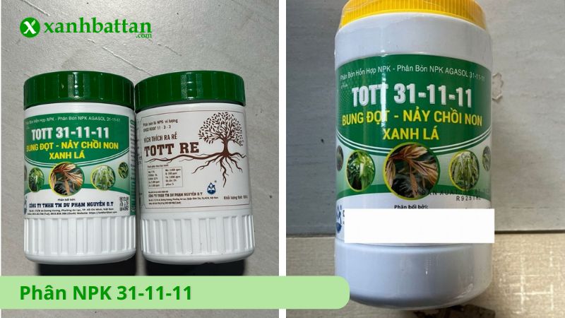 Phân NPK 31-11-11 - Bung đọt, nảy chồi non xanh lá