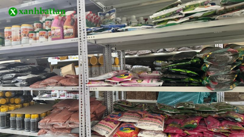 Địa chỉ mua phân bò hữu cơ uy tín, chất lượng tại TP.HCM?