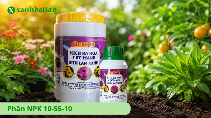 Phân NPK 10-55-10 - Kích thích ra hoa cực mạnh
