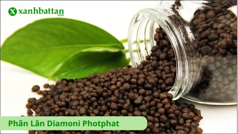 Phân Lân Diamoni Photphat (DAP)