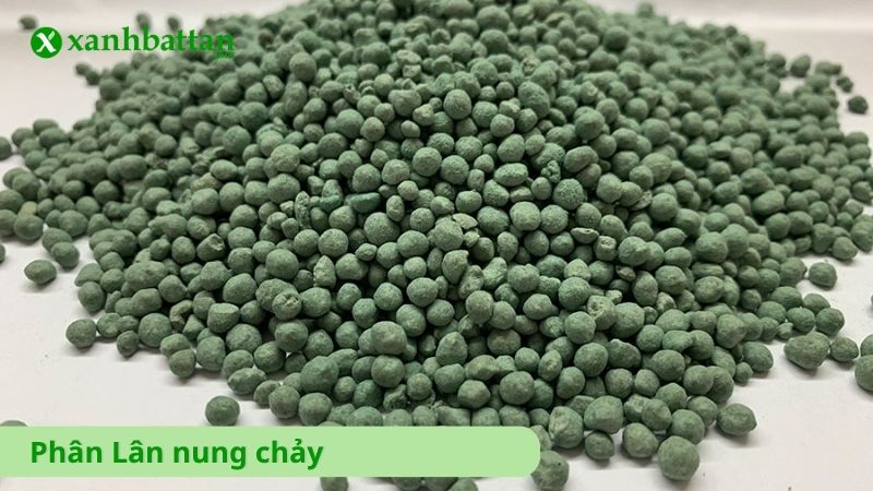 Phân Lân nung chảy