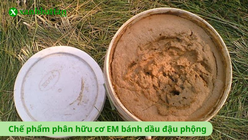 Chế phẩm phân hữu cơ EM bánh dầu đậu phộng