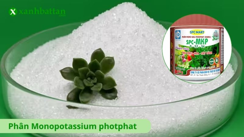 Phân Monopotassium photphat