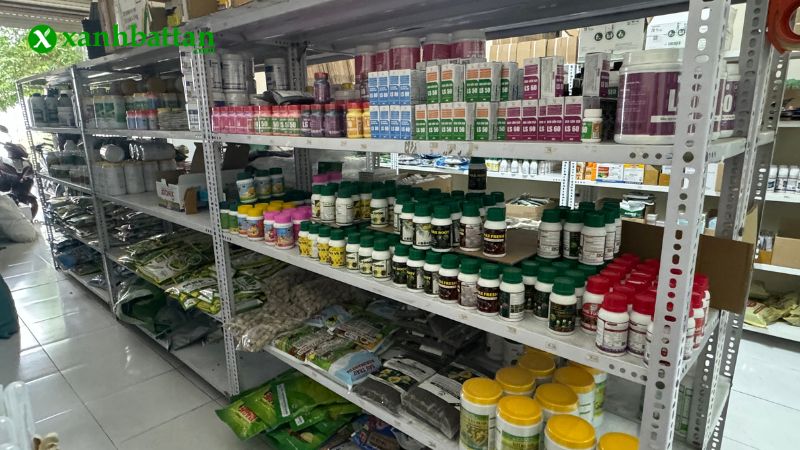 Địa chỉ mua phân NPK chất lượng tại TP.HCM?
