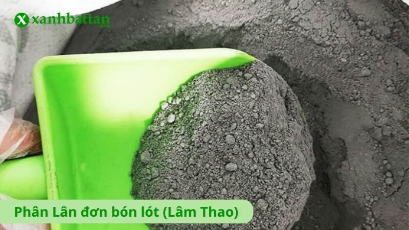 Phân Lân đơn bón lót (Lâm Thao)