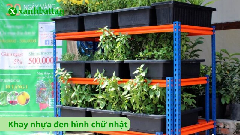 Khay nhựa đen hình chữ nhật