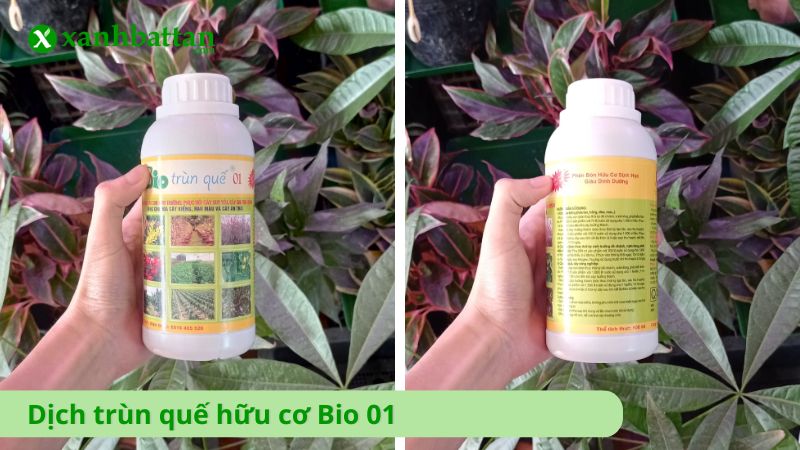 Dịch trùn quế hữu cơ Bio 01