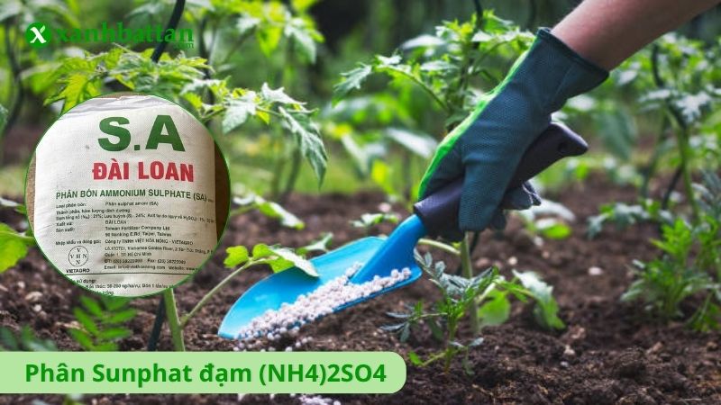 Phân Sunphat đạm (NH4)2SO4