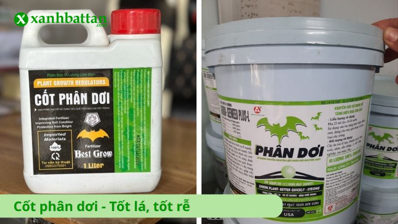 Cốt phân dơi - Tốt lá, tốt rễ