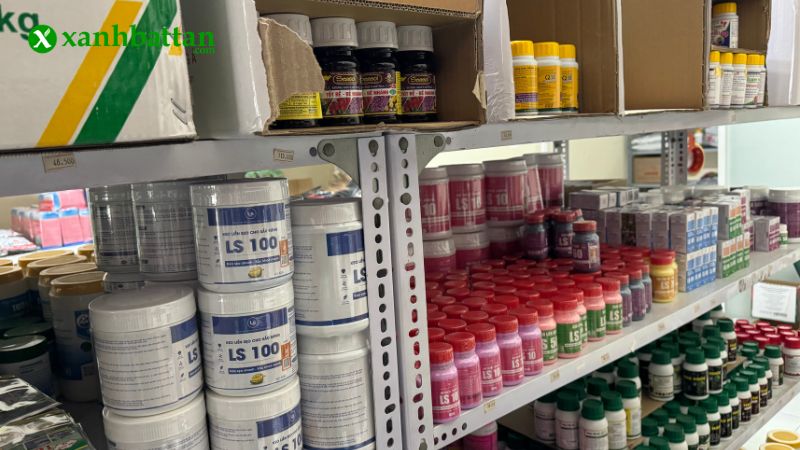Địa chỉ mua phân lân chất lượng tại TP.HCM?