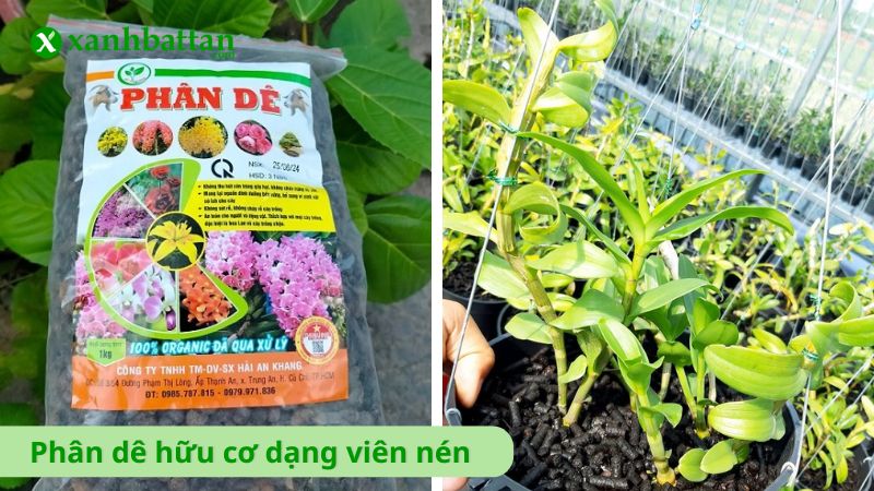 Phân dê hữu cơ dạng viên nén