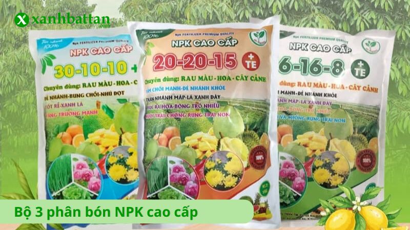 Bộ 3 phân bón NPK - Kích chồi, kích hoa, phục hồi cây