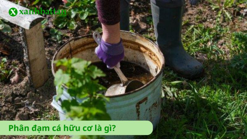 Phân đạm cá hữu cơ là gì?