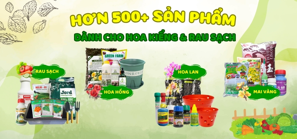Hơn 500 sản phẩm