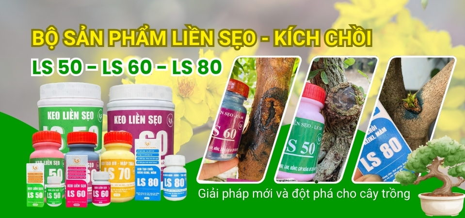 Các sản phẩm của LS