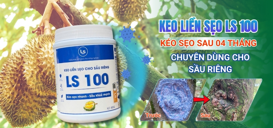 Combo chăm sóc phục hồi mai sau tết