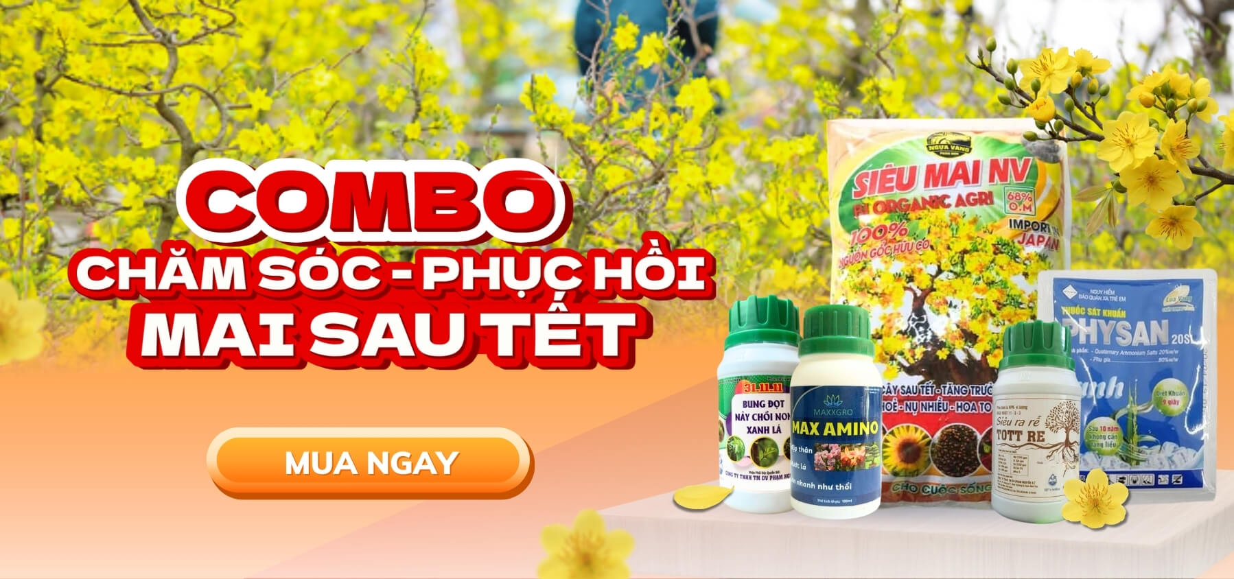 Combo chăm sóc phục hồi mai sau tết