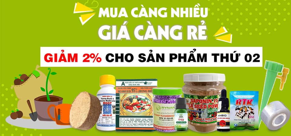 MUA CÀNG NHIỀU - GIÁ CÀNG RẺ