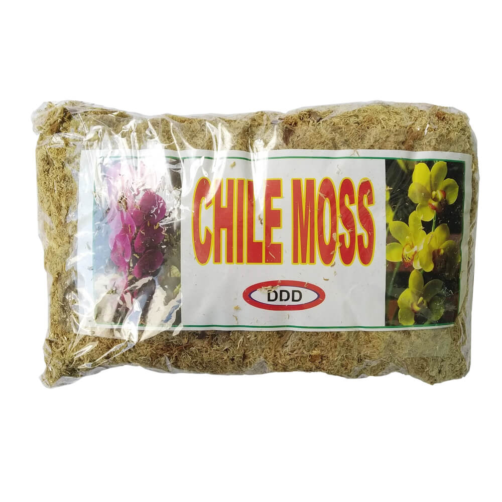 Giá Thể Trồng Lan Chile Moss