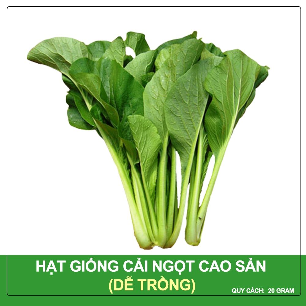 Hạt Giống Cải Ngọt Cao Sản Phú Nông Gói 20 Gram