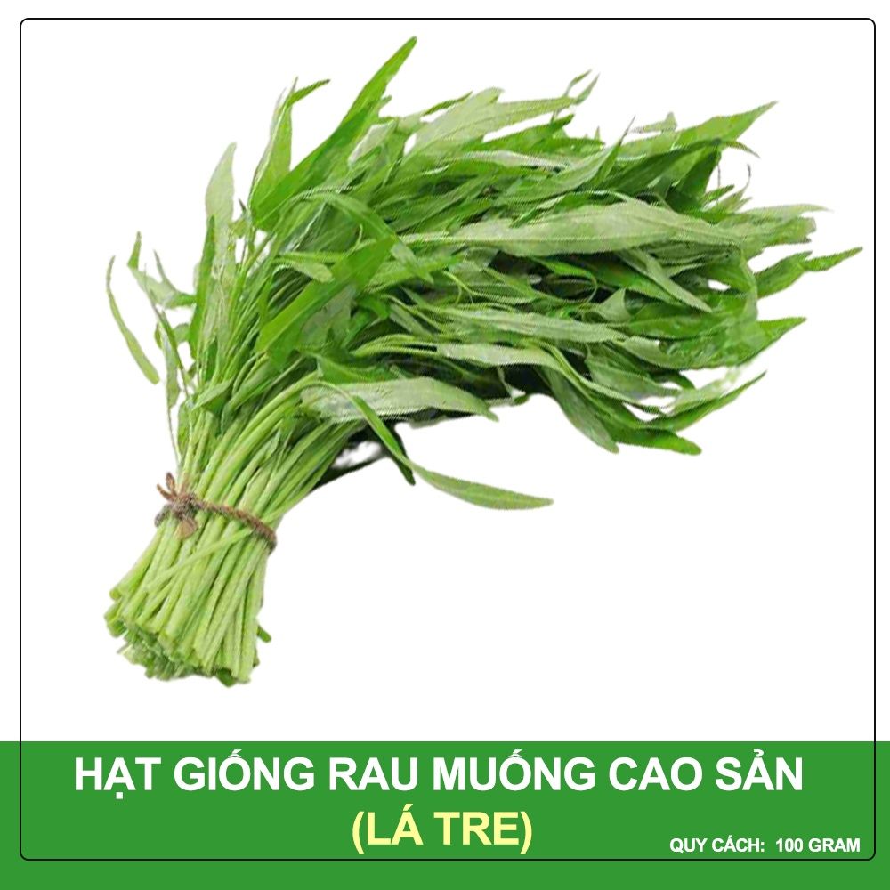 Hạt Giống Rau Muống Phú Nông Loại 100 Gram