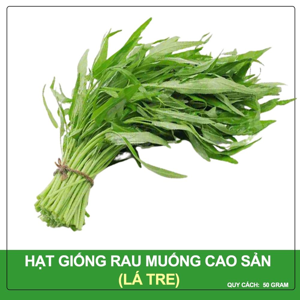 Hạt Giống Rau Muống Phú Nông Loại 50 Gram