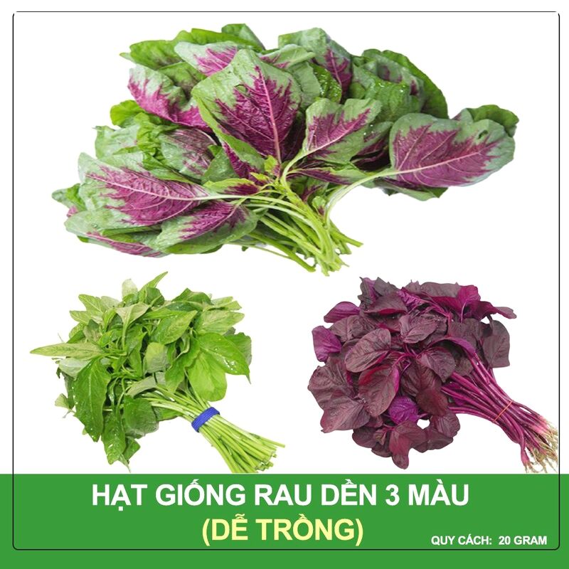 Hạt Giống Rau Dền 3 Màu Phú Nông Gói 20 Gram
