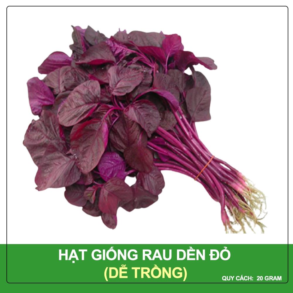 Hạt Giống Rau Dền Đỏ Phú Nông Gói 20 Gram