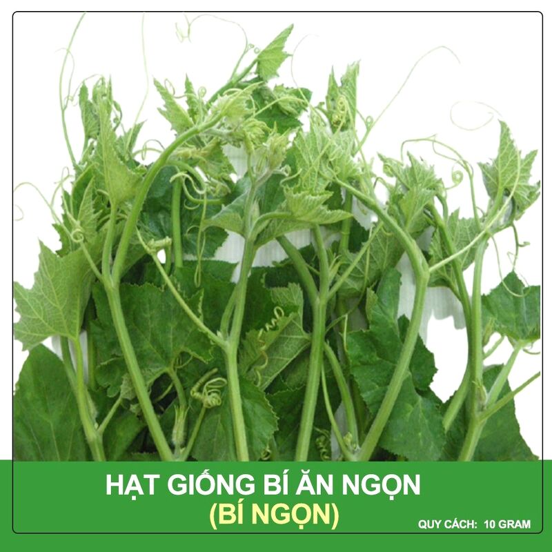 Hạt Giống Bí Ngọn Siêu Đọt Phú Nông Gói 10 Gram
