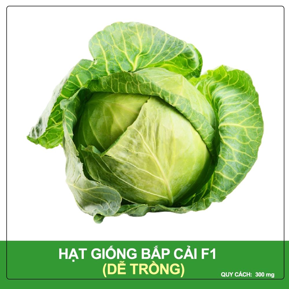 Hạt Giống Bắp Cải Phú Nông Gói 300 mg