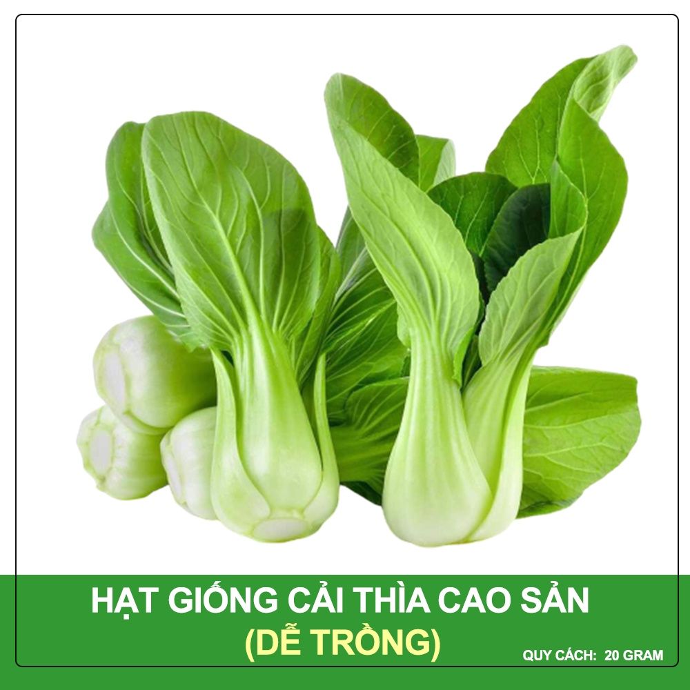 Hạt Giống Cải Thìa Phú Nông Gói 20 Gram