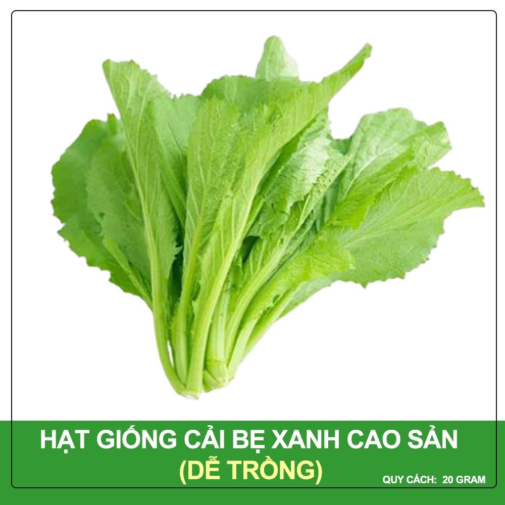 Hạt Giống Cải Bẹ Xanh Mỡ Phú Nông Gói 20 Gram