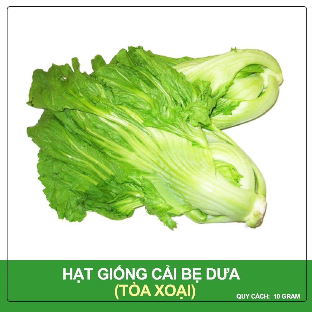 Hạt Giống Cải Bẹ Dưa Tòa Xoại Phú Nông Gói 10 Gram