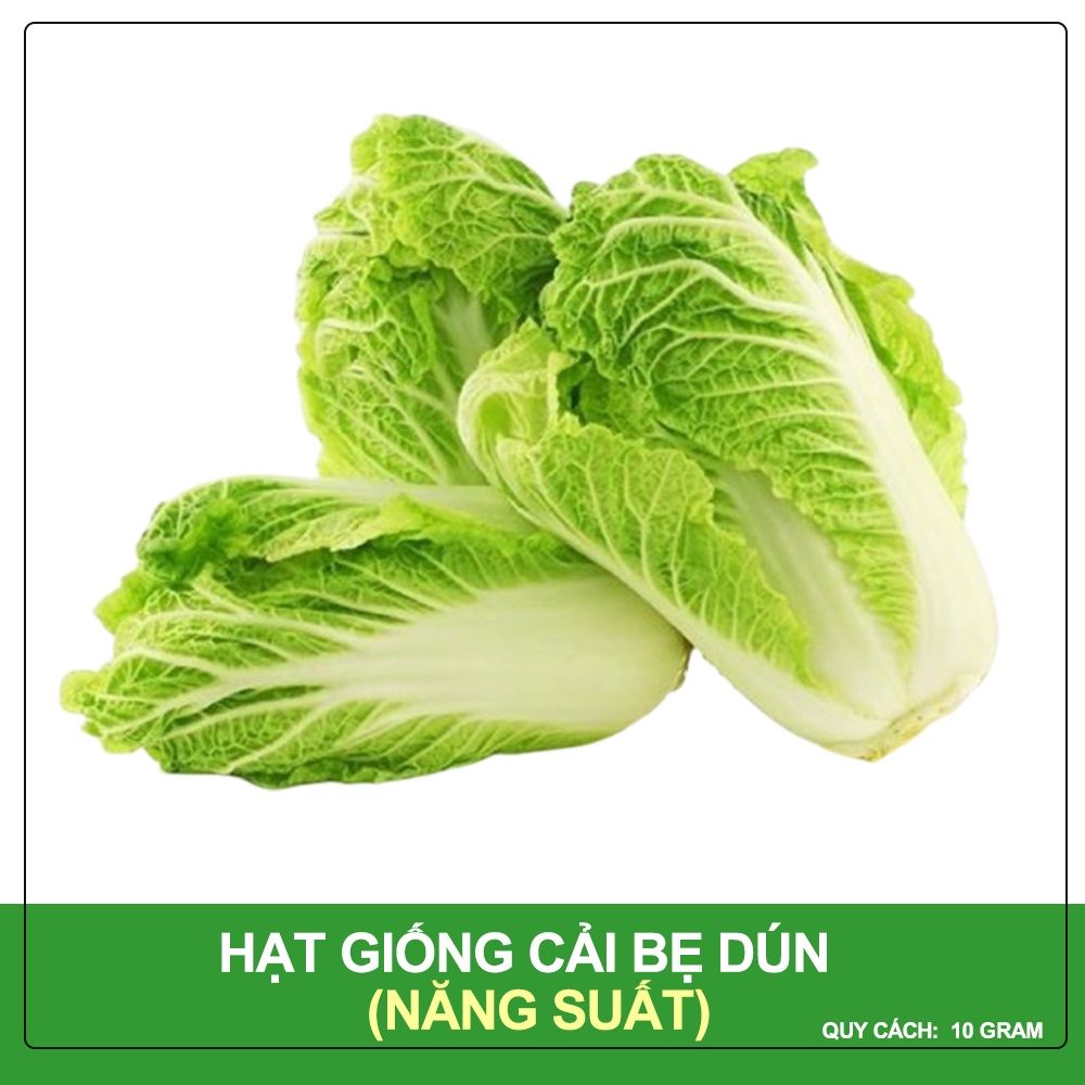 Hạt Giống Cải Bẹ Dún Phú Nông Gói 10 Gram