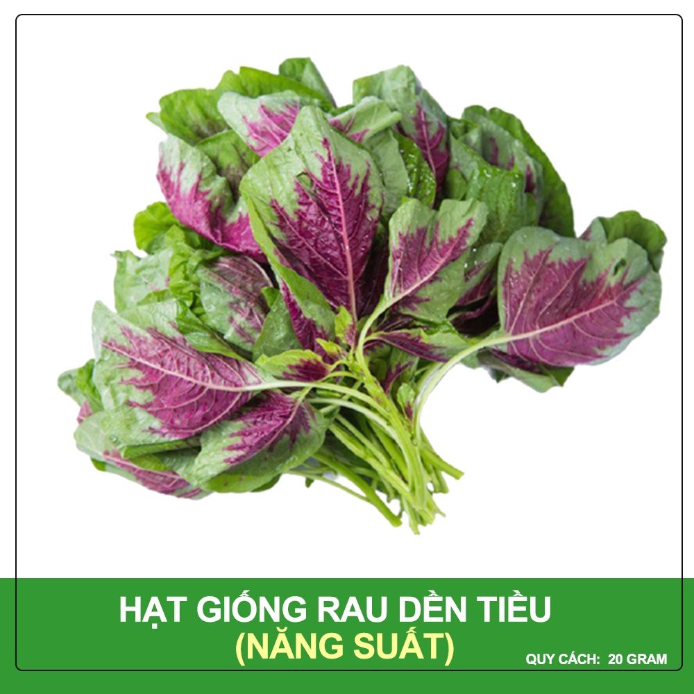 Hạt Giống Dền Tiều Cao Sản Phú Nông Gói 20 gram