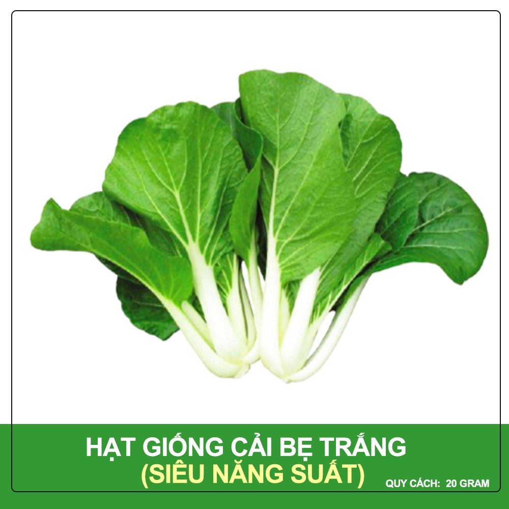 Hạt Giống Cải Bẹ Trắng Phú Nông Gói 20 Gram