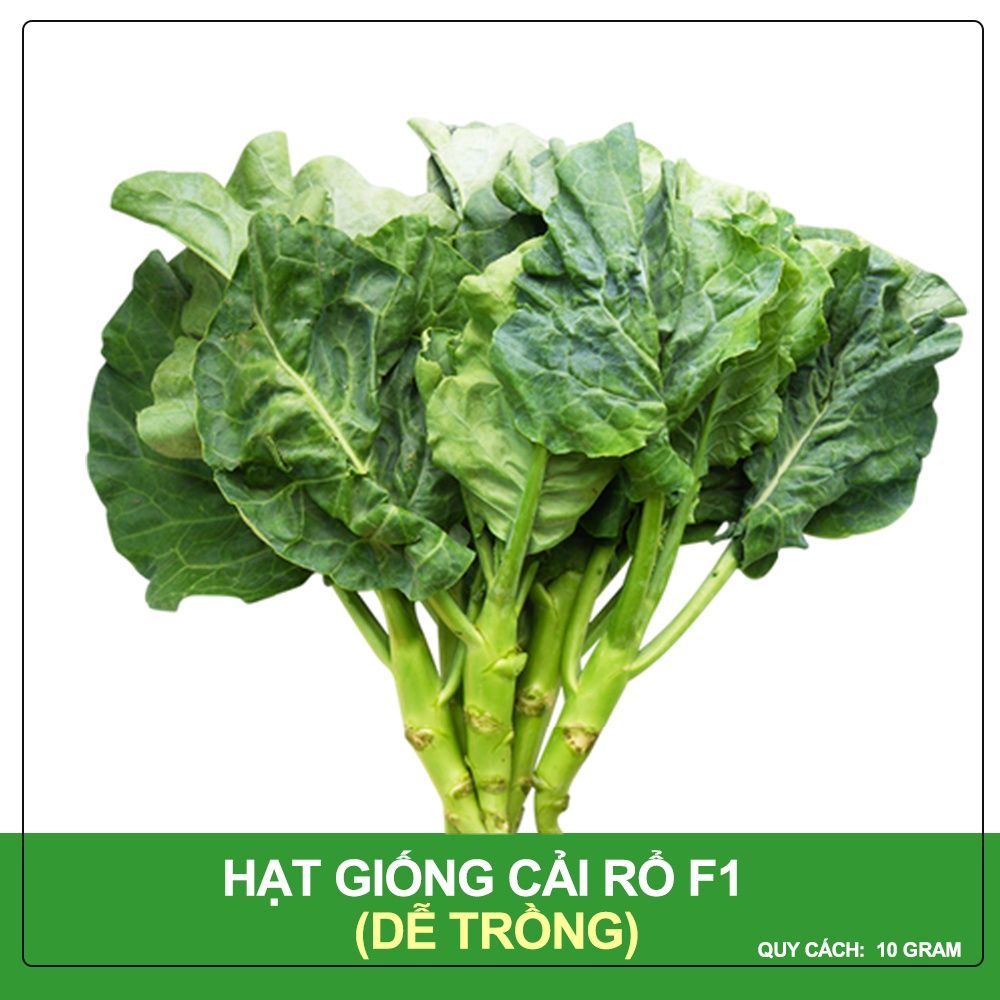 Hạt Giống Cải Rổ Phú Nông Gói 10 Gram