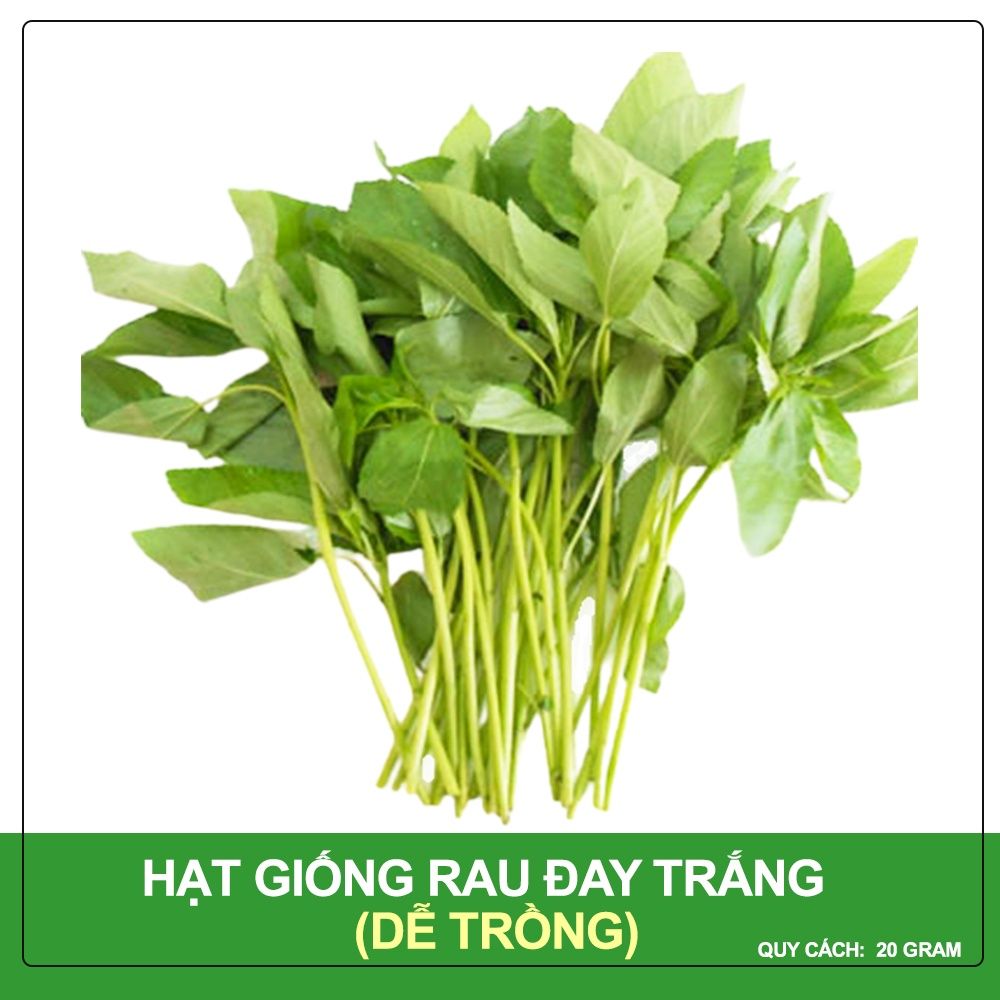 Hạt Giống Rau Đay Cao Sản Phú Nông Gói 20 Gram