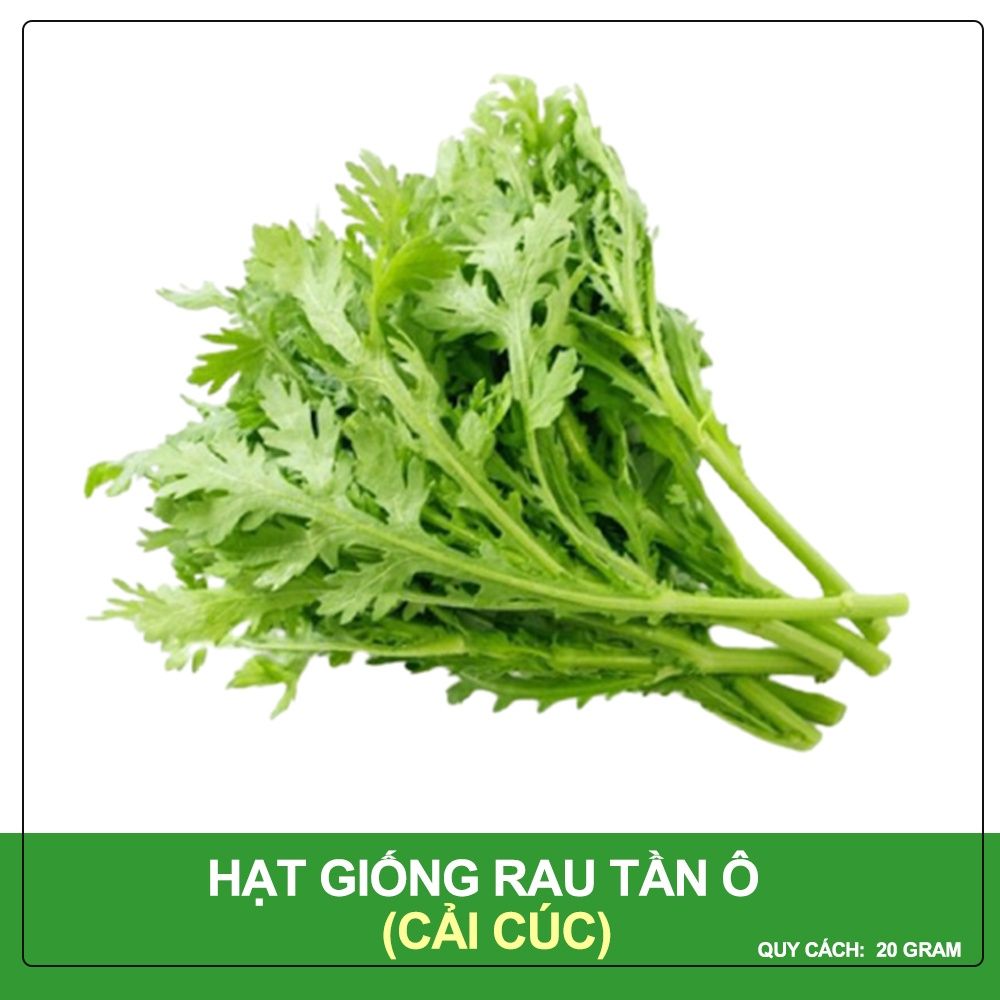 Hạt Giống Rau Tần Ô Phú Nông Gói 20 Gram
