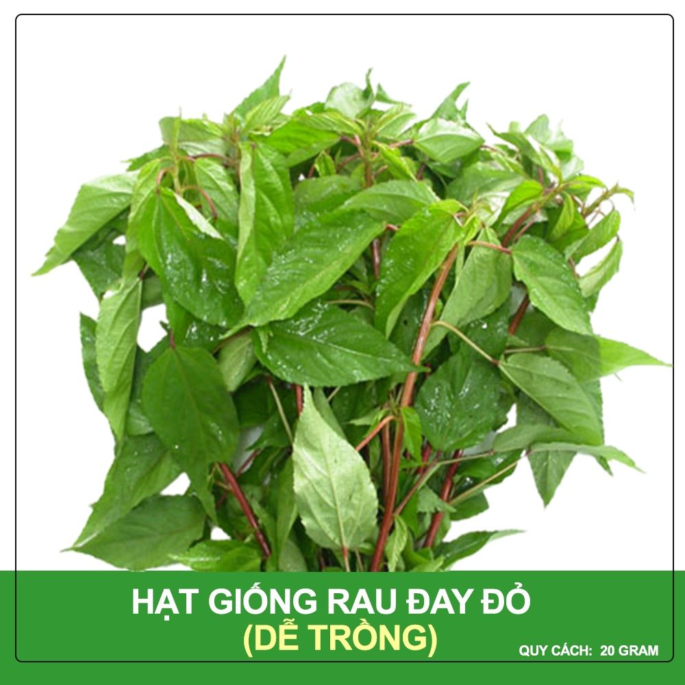 Hạt Giống Rau Đay Đỏ Phú Nông Gói 20 Gram